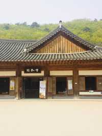 [Tradition Korean Culture]⭐️National Park⭐️