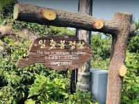 [JEJU ISLAND]⭐️Sunrise Peak⭐️stunning view….