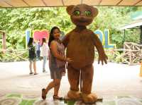 Exploring the Tarsier Sanctuary in Bohol