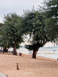 เดินเล่นชายหาดพัทยายามเย็น🌤️