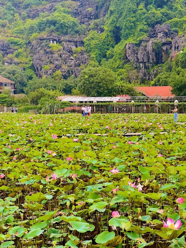 Visit The Highest Peak In Ninh Binh🇻🇳