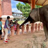 หมู่บ้านช้าง​ จังหวัดสุรินทร์