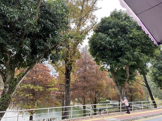 【 新年行大運｜賞湖去 ｜免費景點一日遊 】