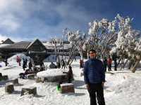 Tons of snow at Mount Bullet, Australia  🇦🇺