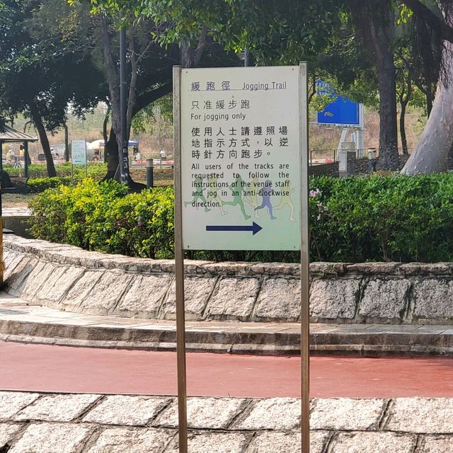 蝴蝶在飛舞