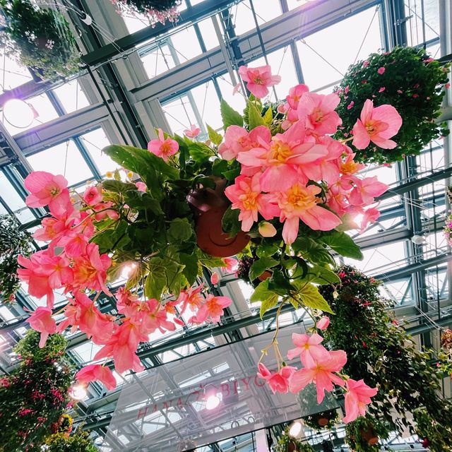 東京最新大型溫室植物園 HANA BIYORI 