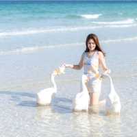 น้อนนห่าน ซุปตาร์หาดเทียน เกาะล้าน