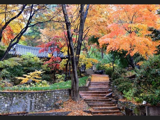 深秋的三角山吉祥寺