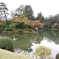 金澤21世紀美術館、兼六園