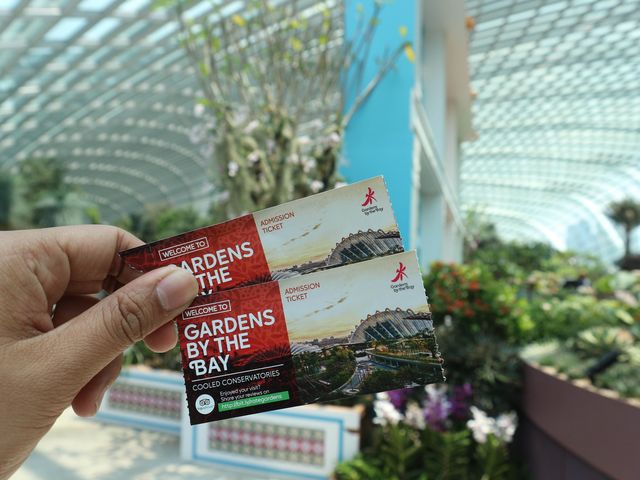 Garden of Wonder