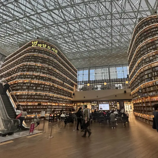 Beautiful Library out of a movie scene!