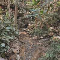 Teddu Coffee คาเฟ่สวยท่ามกลางธรรมชาติ ณ แม่กำปอง