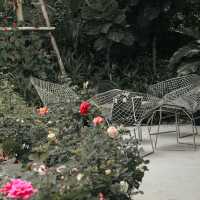horme cafe คาเฟ่น่ารักนนทบุรีน้องหมาเข้าได้