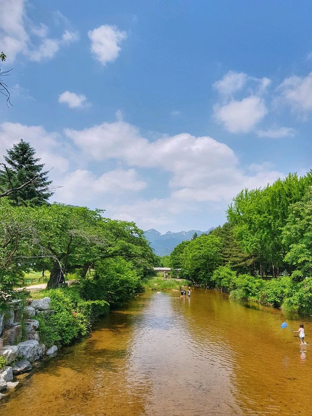 충북 보은 여행코스 추천! 법주사🏯