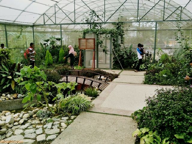 Experience to the Butterfly Farm
