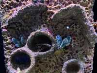 Aquarium​ Phuket ที่ใหญ่ที่สุดในประเทศไทย​