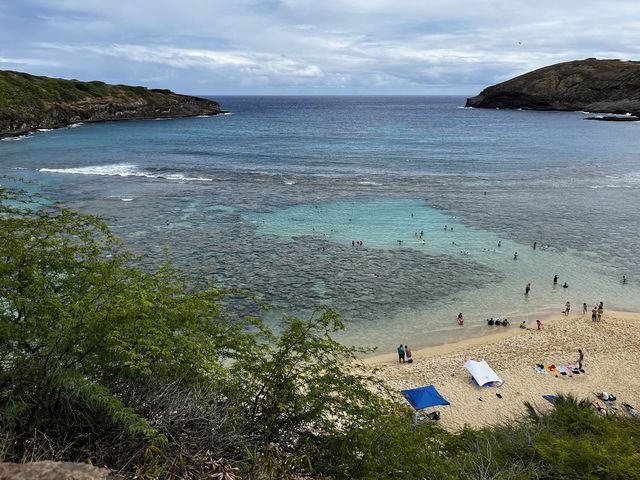 ハワイ【ハナウマ湾】大人気ビーチ🏝️