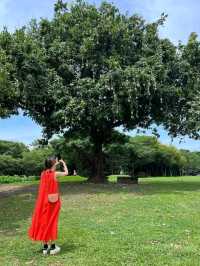 華山1914文化創意產業園區 當一天偽文青