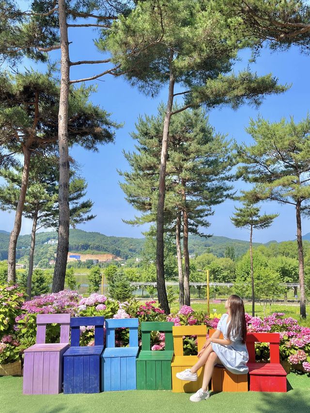 자라섬 남도꽃정원 꽃축제💛