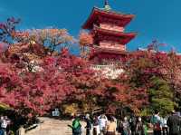 วัดคิโยะมิซุ 清水寺 หรือวัดน้ำใส 🍁⛩️