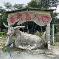 【沖縄県/由布島】初めての水牛車🐃