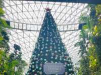 トランジットでも、ちょこっとシンガポール観光！🇸🇬
