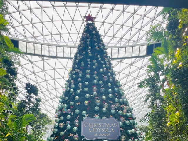 トランジットでも、ちょこっとシンガポール観光！🇸🇬