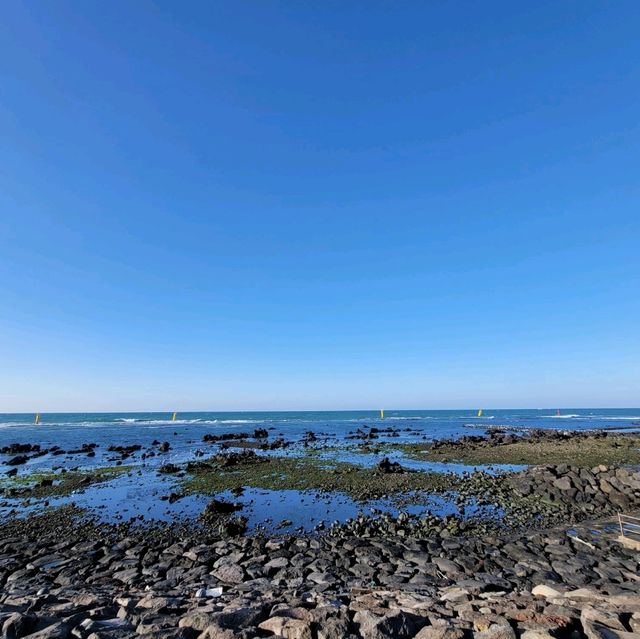 두근두근여름휴가 제주도 여행 이호테우 해변