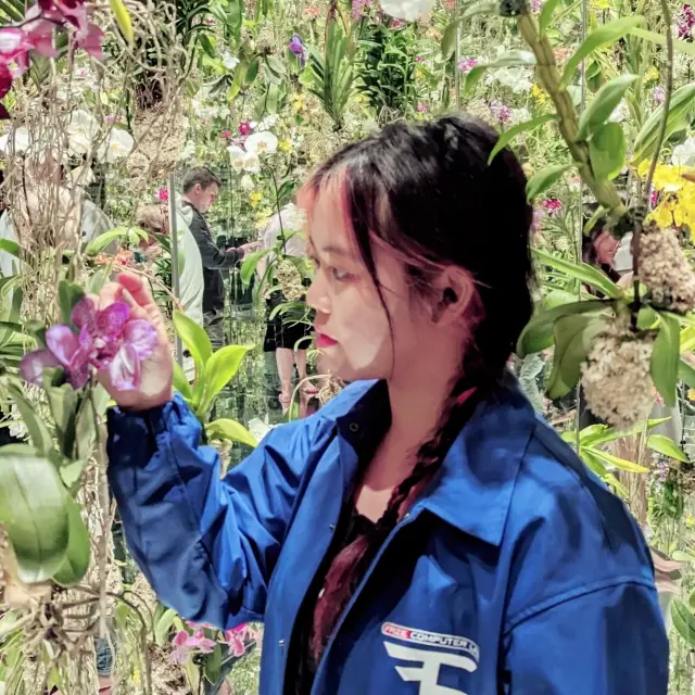 Flower curtains, infinity rooms, glowing eggs