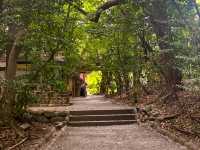 ศาลเจ้าอัตสึตะ 熱田神宮⛩️🌲🍀