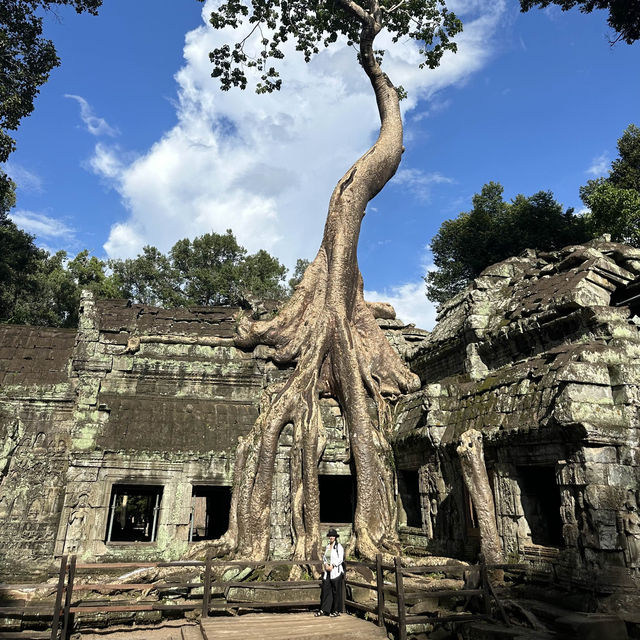 Tomb Raider Temple