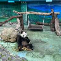 【臺北市立動物園】：樂學給合♡親子探索自然的夢幻之旅