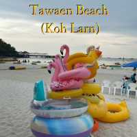 เที่ยวหาดตาแหวน…คึกคักทั้งวันไม่มีเหงา