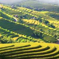 Hoàng Su Phì,  Hà Giang