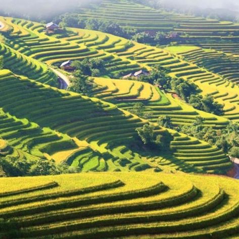 Hoàng Su Phì,  Hà Giang