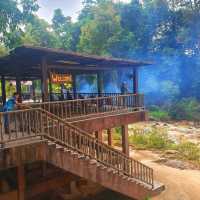 "Jumbo Joy: Rescuing and Reviving Elephants"
