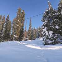 Gulmarg -The Heaven 