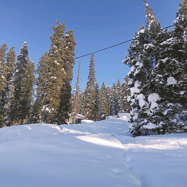 Gulmarg -The Heaven 