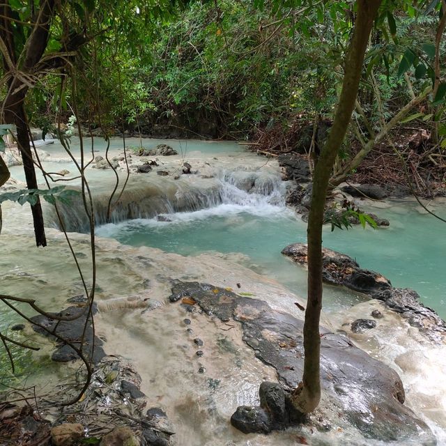 สวนรุกขชาติวังก้านเหลือง
