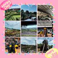 歡樂激情🎢🏖️ 東芭樂園
