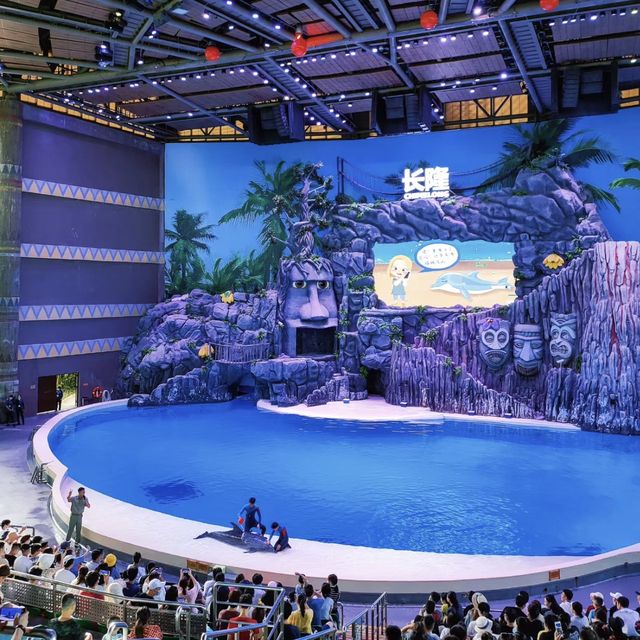 🌊🐠 海底奇幻之旅：珠海長隆海洋王國的無限樂趣 🐬