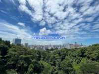 Henderson Waves