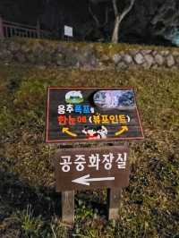 밤에 보면 더 화려한 의림지 야경✨️