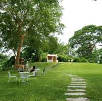 คาเฟ่สายกรีน Favor Field Cafe สวนผึ้ง ราชบุรี