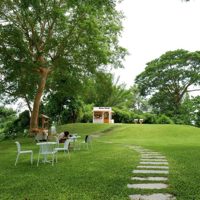 คาเฟ่สายกรีน Favor Field Cafe สวนผึ้ง ราชบุรี