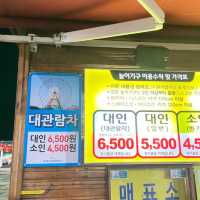 아름다운 야경 삽교호 놀이동산🎡🎠