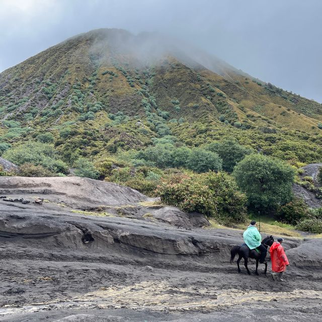 Discover adventure hike to Mount Bromo 