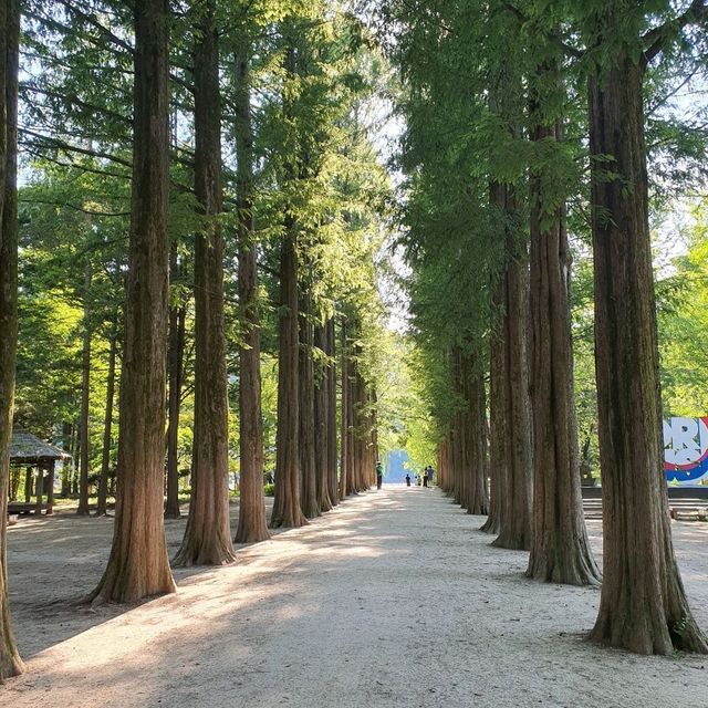 '동화나라, 노래의 섬' 남이섬🏝