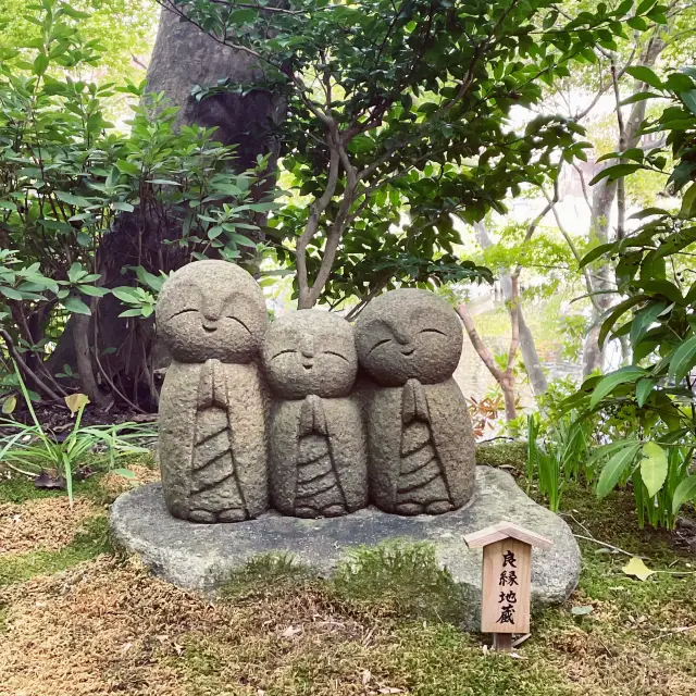 【神奈川/長谷寺の静かな空間で書院体験(写経・写仏)】