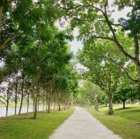 Reset in the nature